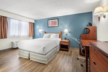 Standard Room, 1 Queen Bed, Non Smoking