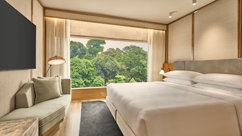 Suite, 1 King Bed