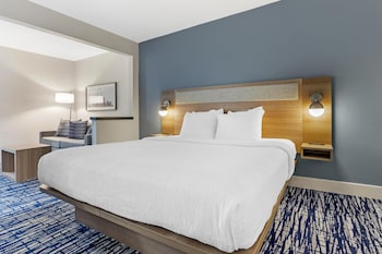 Suite, 1 King Bed, Non Smoking (with Single Sofabed)