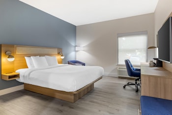 Standard Room, 1 King Bed, Accessible, Non Smoking