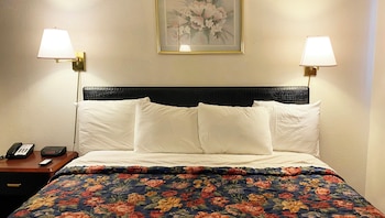 Room, 1 King Bed, Smoking
