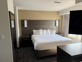 Studio, 1 King Bed with Sofa bed