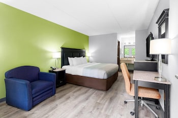 Standard Room, 1 King Bed, Non Smoking