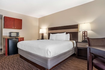 Standard Room, 1 King Bed, Non Smoking, Patio