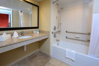 King Room, Accessible, Bathtub