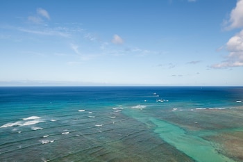 Room, 1 King Bed, Oceanfront (Penthouse, Floor 28 to 31)