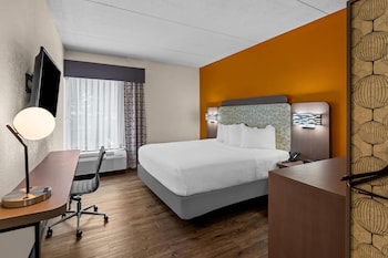 Room, 1 King Bed, Accessible, Non Smoking