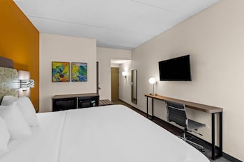 Room, 1 King Bed, Accessible, Non Smoking