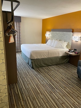 Standard Room, 1 King Bed, Non Smoking