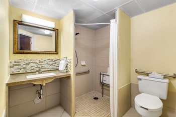 1 King Bed, Mobility Accessible Room, Suite, Roll-In Shower, Non-Smoking