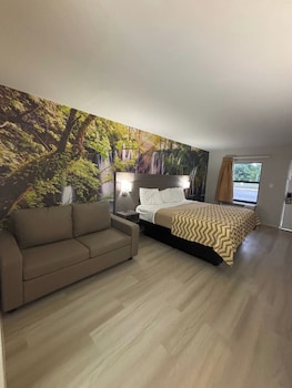 Room, 1 King Bed with Sofa bed, Non Smoking