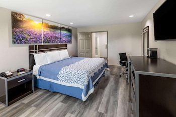 Room, 1 King Bed, Accessible, Smoking