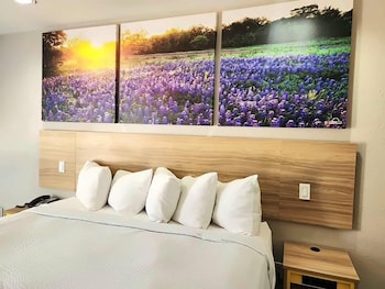 Room, 1 King Bed, Accessible, Smoking
