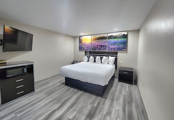 Suite, 1 King Bed, Non Smoking (One-Bedroom)