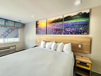 Suite, 1 King Bed, Non Smoking (One-Bedroom)