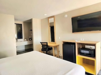 Room, 1 King Bed, Accessible, Smoking