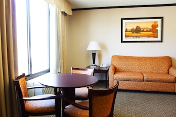 Suite, 1 King Bed with Sofa bed, City View