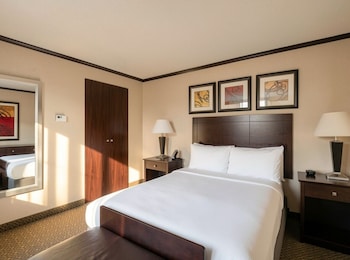 Room, 1 Queen Bed, Roll-in Shower