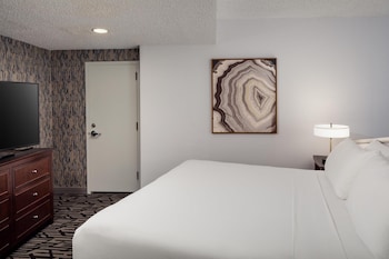 Suite, 1 King Bed