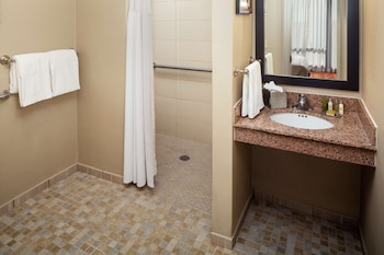 Room, 1 Queen Bed, Accessible (Mobility, Hearing, Roll-In Shower)
