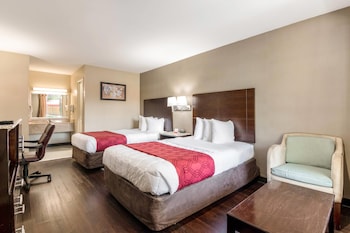 Standard Double Room, 2 Double Beds, Non Smoking