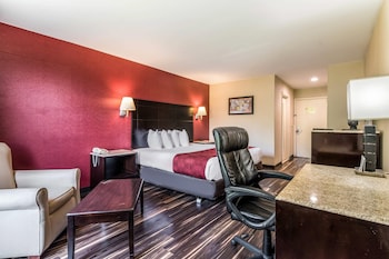 Standard Room, 1 King Bed, Non Smoking