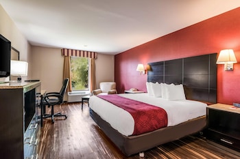Standard Room, 1 King Bed, Non Smoking