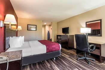Standard Room, 1 King Bed, Non Smoking