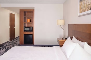 Suite, 1 King Bed with Sofa bed