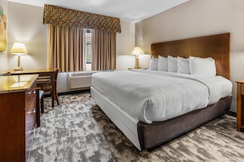 Room, 1 King Bed, Non Smoking