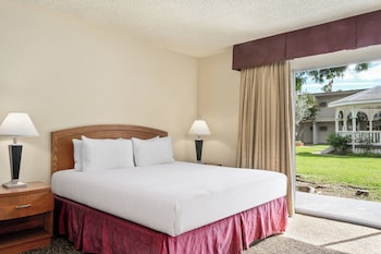Room, 1 King Bed (Jacuzzi)