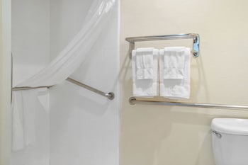 Traditional Room, 1 King Bed (Roll-in Shower)