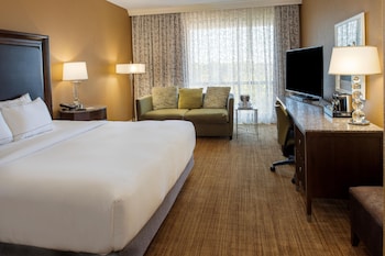 Room, 1 King Bed, Accessible with roll in shower