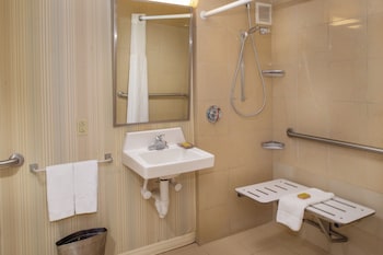 Room, 1 King Bed, Accessible with roll in shower