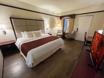 Garden Area Room, 1 King Bed