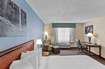 Standard Room, 1 King Bed, Non Smoking
