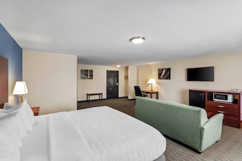 Suite, 1 King Bed with Sofa bed, Non Smoking