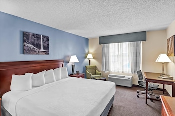 Room, 1 King Bed, Accessible, Non Smoking (Roll-In Shower)