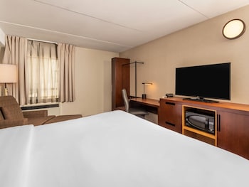 Room, 1 King Bed, Non Smoking (Pet Friendly)