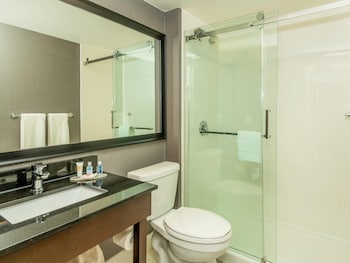 Room, 1 King Bed, Non Smoking (Pet Friendly)