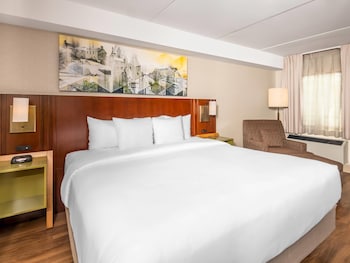 Room, 1 King Bed, Non Smoking (2nd Floor)