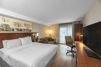Room, 1 King Bed with Sofa bed, Non Smoking (Upgrade, Pet Friendly)