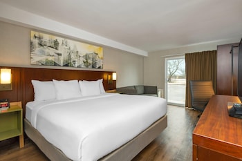 Room, 1 King Bed with Sofa bed, Non Smoking (Upgrade, Pet Friendly)