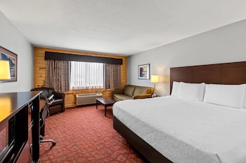 Standard Room, 1 King Bed with Sofa bed, Non Smoking