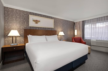 Room, 1 King Bed, Non Smoking