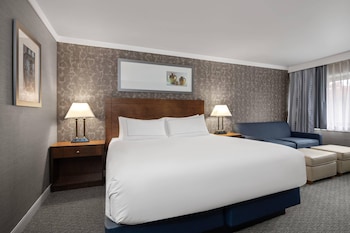Room, 1 King Bed with Sofa bed, Non Smoking