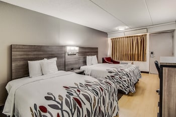 Standard Room, 2 Double Beds (Smoke Free)