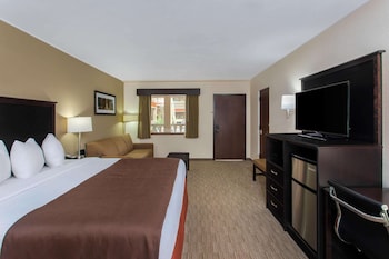 Room, 1 King Bed, Non Smoking, Poolside