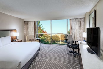 Room, 1 King Bed, Accessible, Bathtub