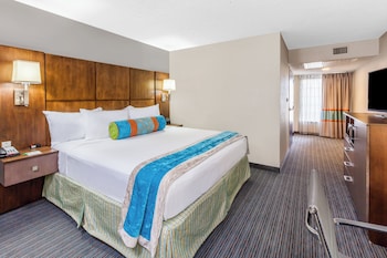 Suite, 1 King Bed